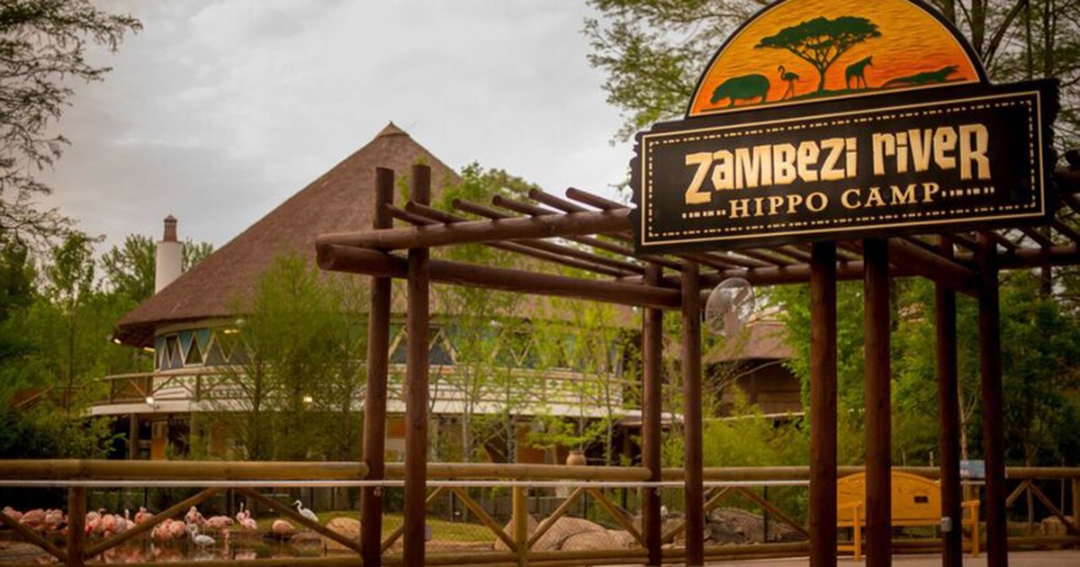 Memphis Zoo | Zambezi River Hippo Camp