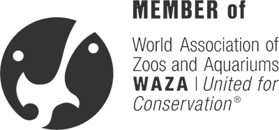 Member of WAZA