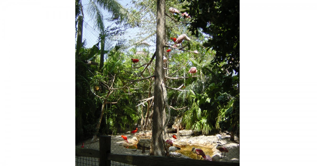 Palm Beach Zoo | Florida