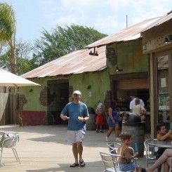 Palm Beach Zoo | Tropics of the Americas