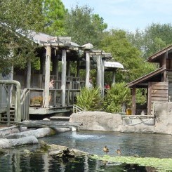 Tampa's Lowry Zoo | Florida Biome