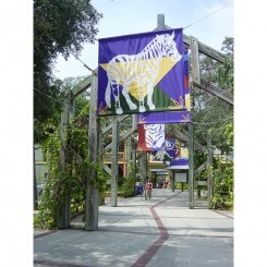 Tampa's Lowry Zoo | Entry