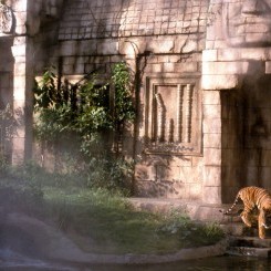 Memphis Zoo | Cat Country