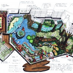 Palm Beach Zoo | Masterplan