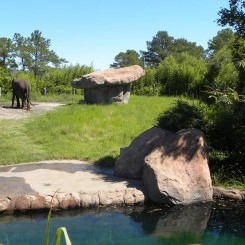 Virginia Zoo | Okavanga Delta